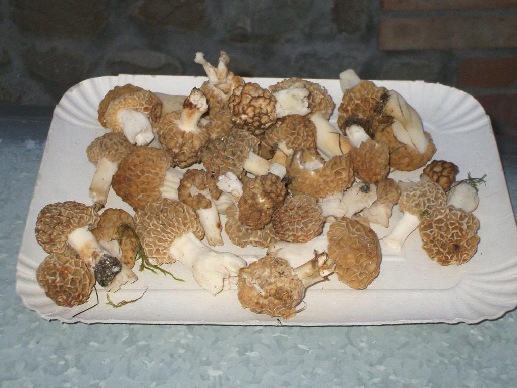 La Colombarola Agriturismo Farneto Zewnętrze zdjęcie