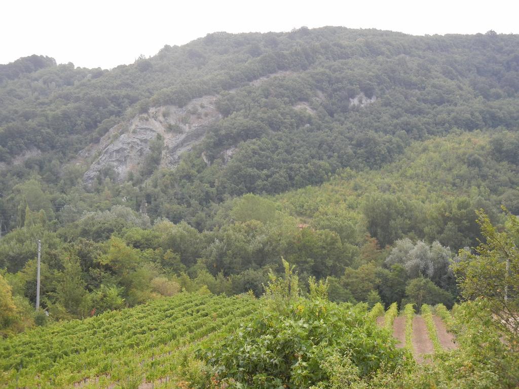 La Colombarola Agriturismo Farneto Zewnętrze zdjęcie
