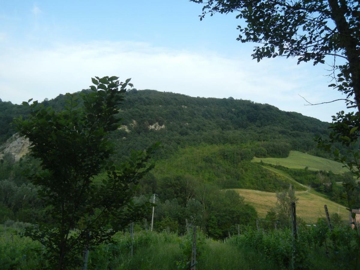La Colombarola Agriturismo Farneto Zewnętrze zdjęcie