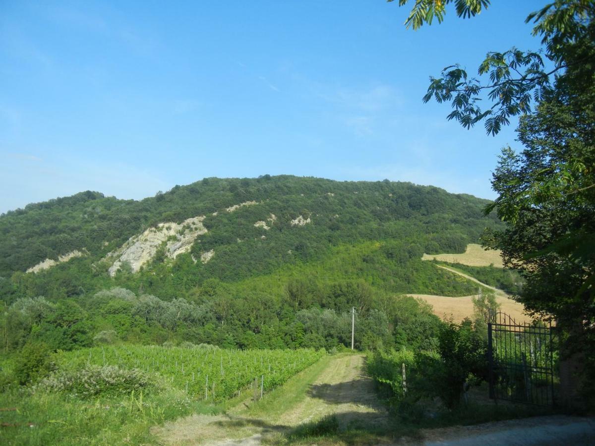La Colombarola Agriturismo Farneto Zewnętrze zdjęcie